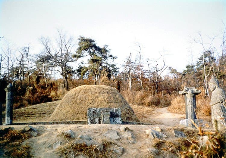 박문수 묘 — 박문수묘