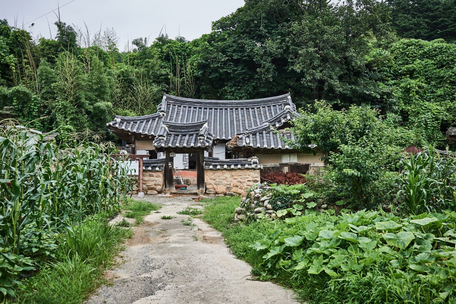 김근수가옥 — 속초김근수가옥_전경 (촬영년도 : 2016년)
