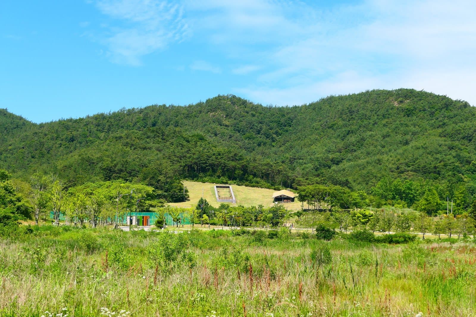 고흥 운대리 분청사기 요지 — 고흥 운대리 분청사기 요지 - 전경