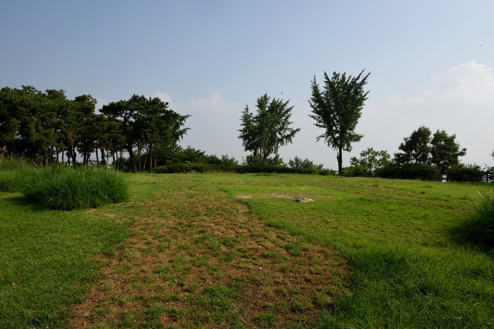 서울 양천고성지 — 서울 양천고성지_1 (촬영년도 : 2015년)