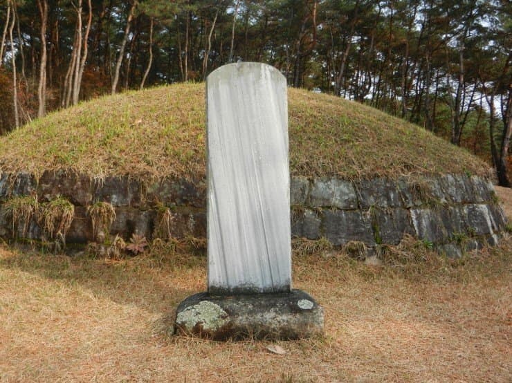 장성 박수량 백비 — 장성 박수량 백비